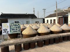 -苏州市吴中区光福窑上花果蜜饯厂