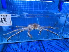 -前王院•巧克力海鲜市集餐厅(万平口店)