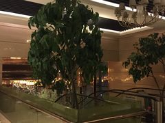 -东方之珠海鲜酒楼(南开店)