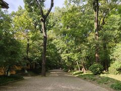 -灵谷景区
