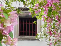 -深圳国际园林花卉博览园