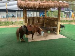 -萌宠亲子动物乐园(槐房万达店)