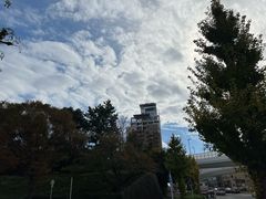 -名古屋城