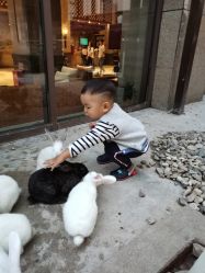 -马克叔叔儿童理发形象设计