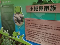 -野象谷景区