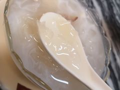 雪耳元肉海底椰-润生堂(泰然四路店)