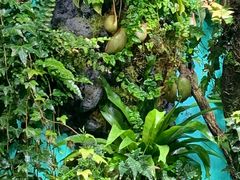 -太平洋海底世界