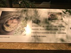 -中国沉香文化博物馆