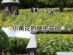 -大宁公园