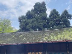 -青城山