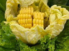 -犇鼎牛潮汕牛肉火锅(新辰里学清路店)