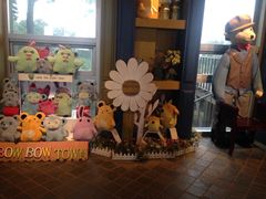 -济州岛泰迪熊博物馆