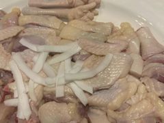 鸡肉-百年果林椰子鸡(中洲店)
