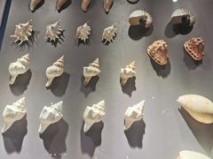 -重庆自然博物馆(新馆)