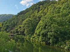 -桃花岭景区