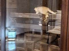 -古北水镇御舍汤泉酒店
