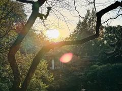 -杭州黄龙洞