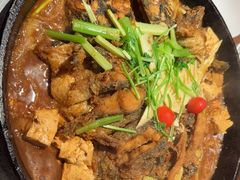 -老板恋上鱼(恒隆广场店)