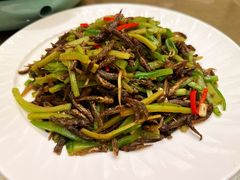 凉瓜丝炒田炆鱼-沙龙酒家