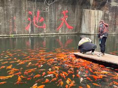 -千岛湖东南湖区