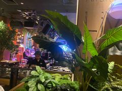 -同仁四季椰子鸡(宝安壹方城店)