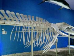 -福州罗源湾海洋世界旅游区