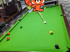 -丁俊晖台球俱乐部(长寿路店)