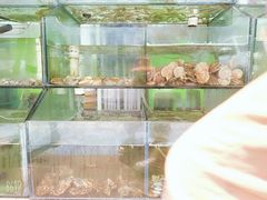-四海鲜渔家菜(黄金海岸店)