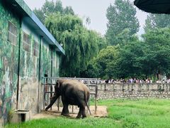 -西安秦岭野生动物园
