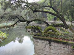 -忠山公园