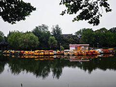 -泰州凤城河风景区-泰山公园