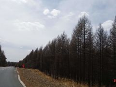 -塞罕坝国家级自然保护区