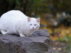 -苏州河梦清园环保主题公园