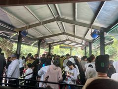 -将军关探险漂流