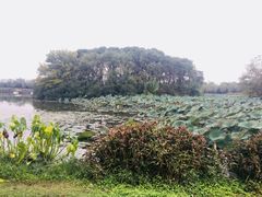 -艾溪湖湿地公园