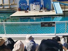 -秦皇岛乐岛海洋王国