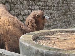 -昆明动物园