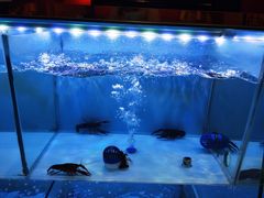 -虾弄弄海派小龙虾·牛羊蝎子火锅