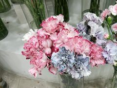 -Flower in(密渡桥店)