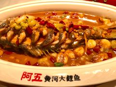 煎烧黄河鲤鱼-阿五黄河大鲤鱼(英协路店)