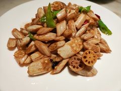 -佬肥猫(国华广场店)