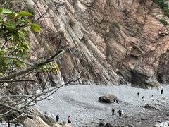 -花岙岛