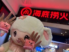 -海底捞火锅(曼巴特广场店)