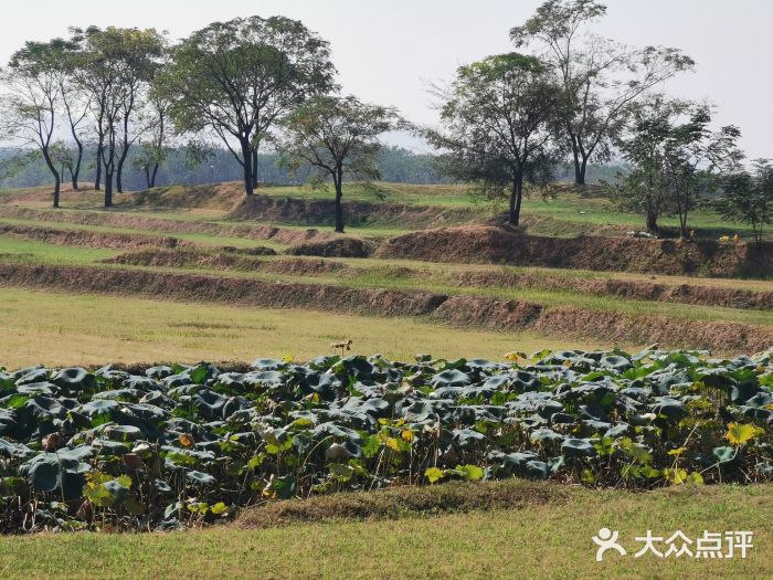 盘龙城国家考古遗址公园图片