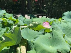 -丝绸小镇荻港古村