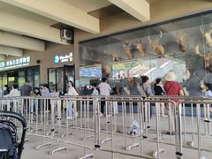 -陕西自然博物馆