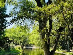 -上海共青森林公园