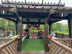 -派对猴生日派对策划(浦东店)