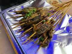 鳝鱼-晓靖轩烧烤(沙河风情店)