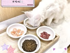 -Double Rui宠物酒店